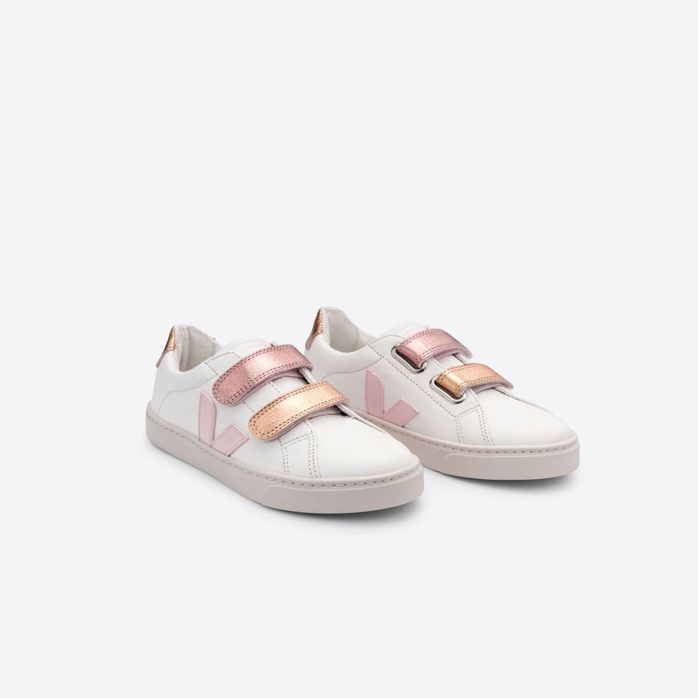 veja venus white